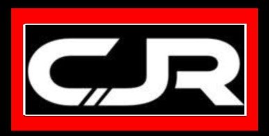 CITIZEN JORNALISTS REPORTASE